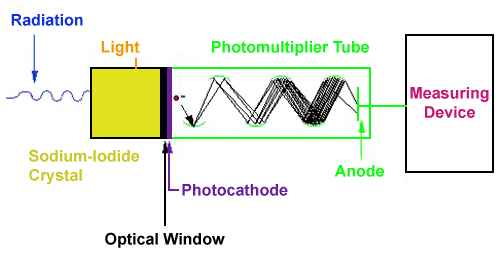 Scintillation Detector - Radiation, Light > Sodium-Iodide Crystal > Optical Window > Photocathode > Photomultiplier Tube > Anode > Measuring Device